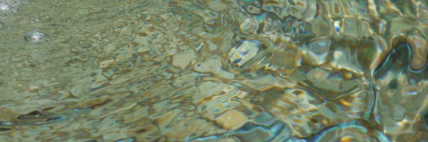 MathsWithMsB 🦡 banner