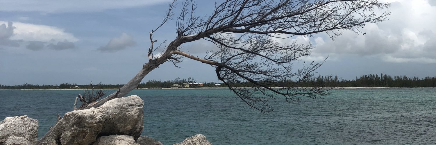 dannyhop54's profile banner image