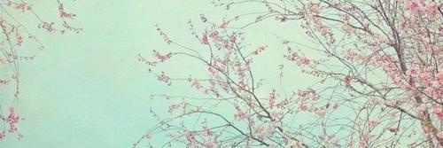 cheliguz's profile banner image