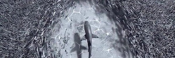 BahastHemn Profile Banner