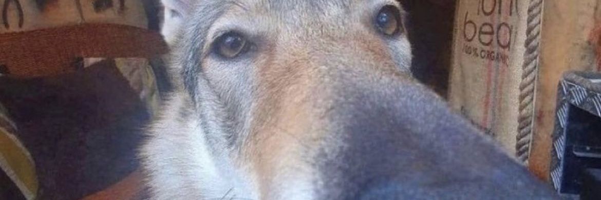 Pablomt_'s profile banner image