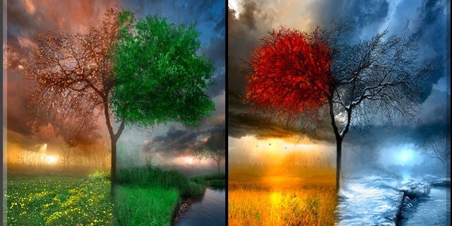FoxyFlorine's profile banner image