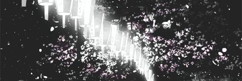 ak_naru's profile banner image