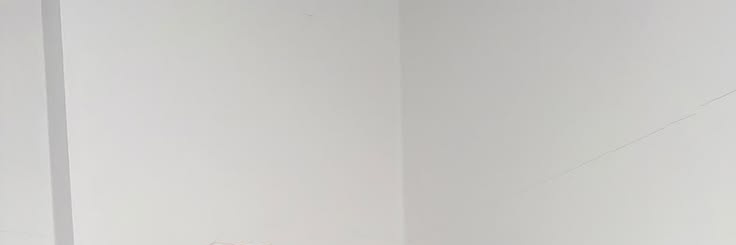 Arno. banner