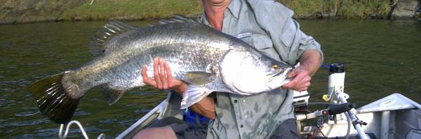 gladcater Profile Banner