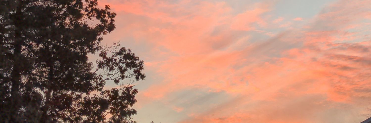 Allison_Stj's profile banner image