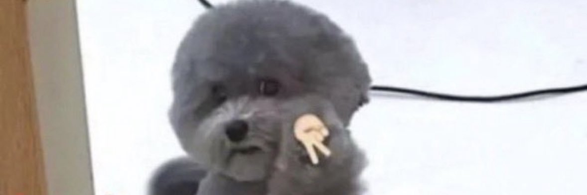 notyourberfis's profile banner image