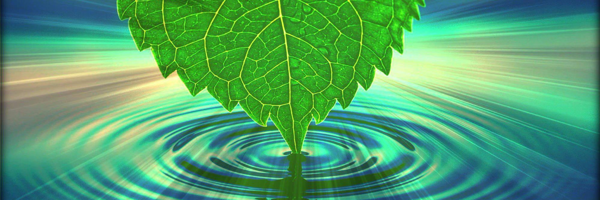 Bareld Nijboer banner