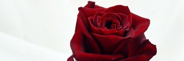 a56644m's profile banner image