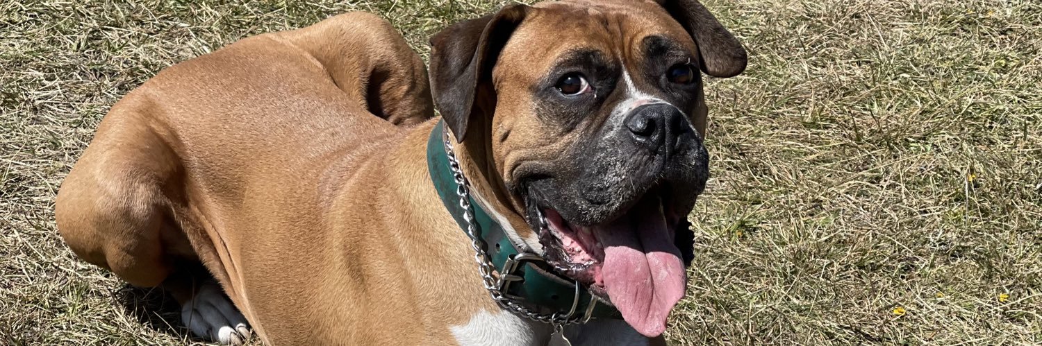 Erick Garduño banner