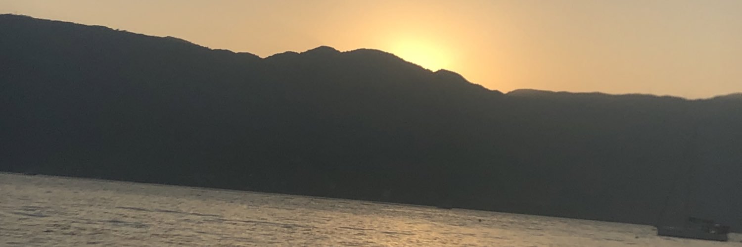 vidadaevi's profile banner image