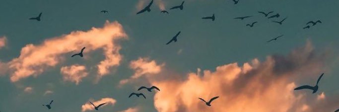 sarahsaad0's profile banner image