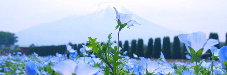 ono__saya's profile banner image