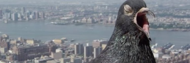 eseboi_'s profile banner image