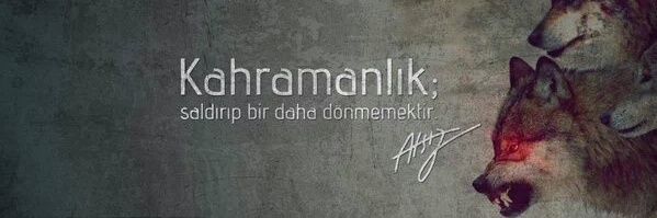 stkydln's profile banner image