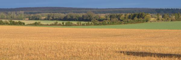 fowell103 Profile Banner