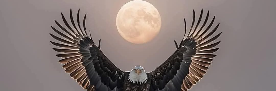 Cegerxwin_e's profile banner image