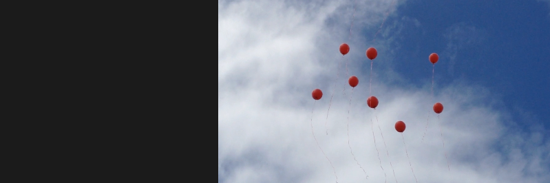 C4HFoundation's profile banner image