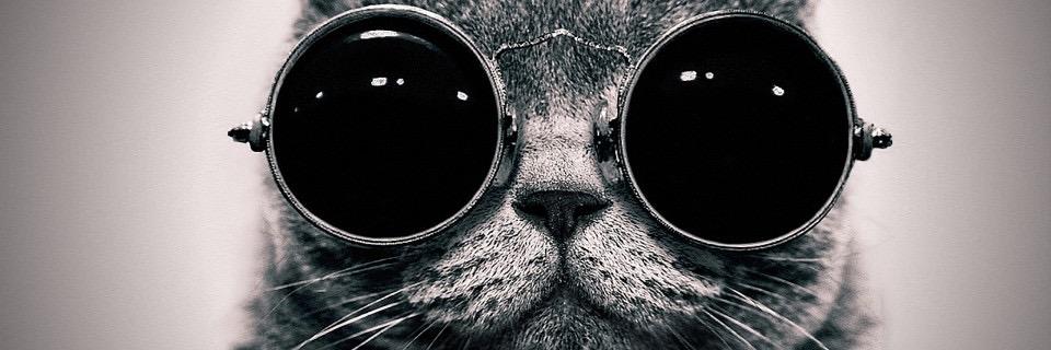 What_is_2's profile banner image