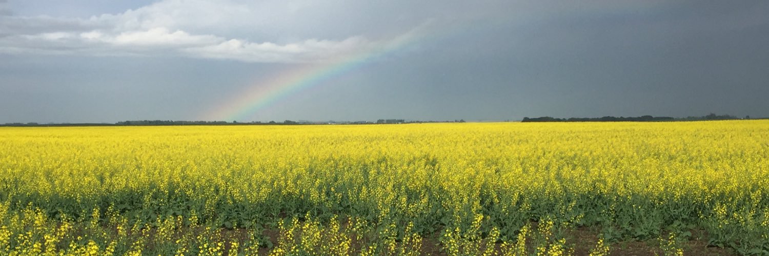 Karl Schaefer banner