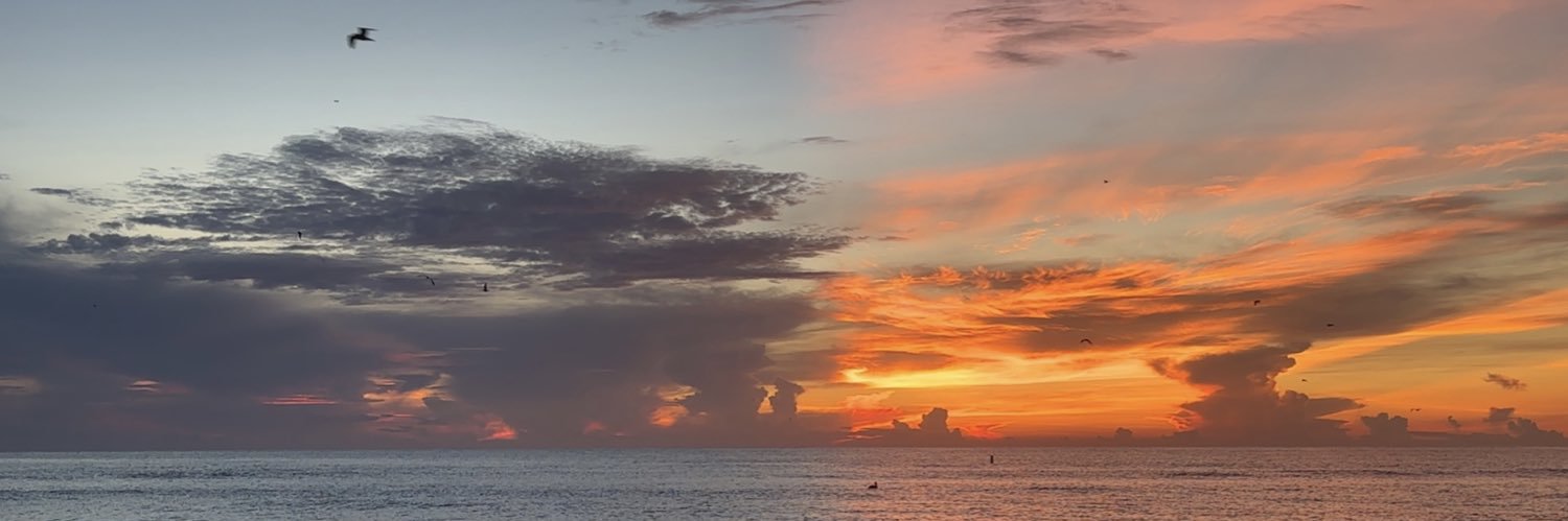 RonnyFey's profile banner image