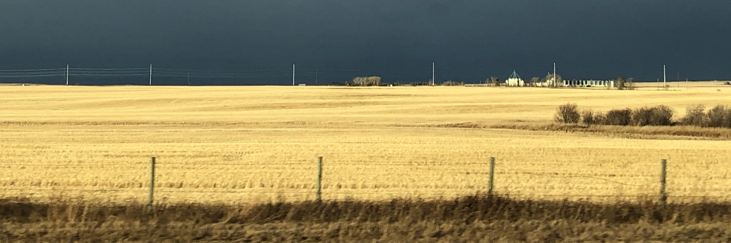 Dr. Jennifer Markides ∞ banner