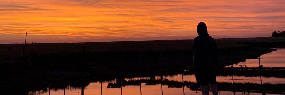 OrneelaGonzalez's profile banner image