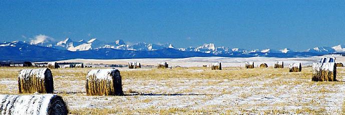 111000Acres's profile banner image