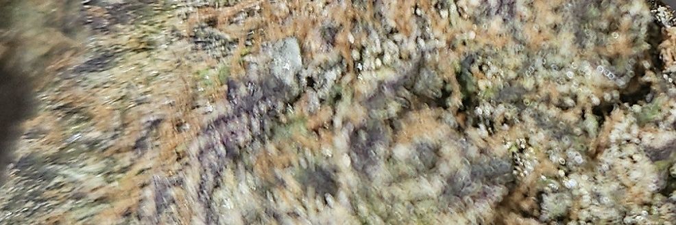 chadcaudill41's profile banner image