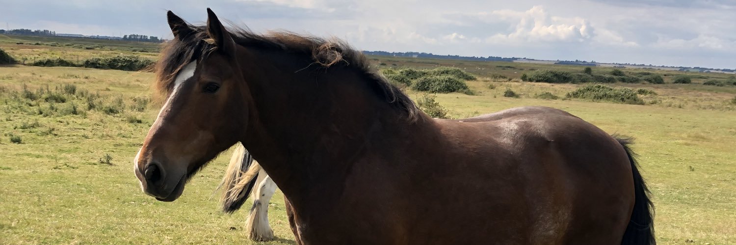 GeorgiaTaylor97's profile banner image