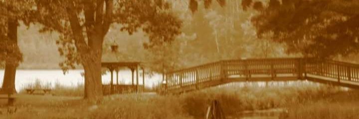 fuzzypenguin23's profile banner image