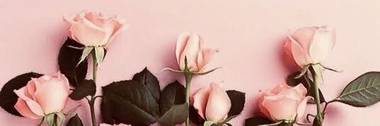 Andreaceache's profile banner image