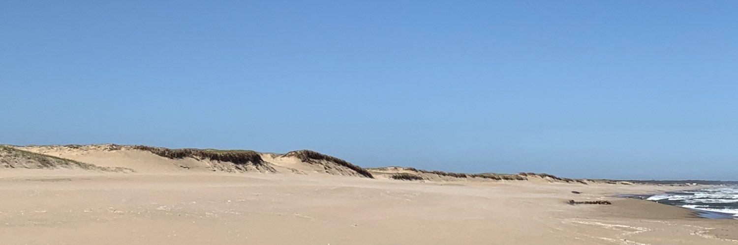 CammiRF's profile banner image