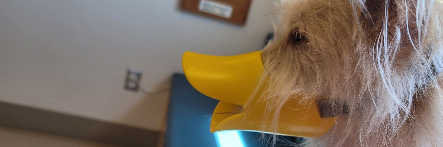 uzedmuze's profile banner image