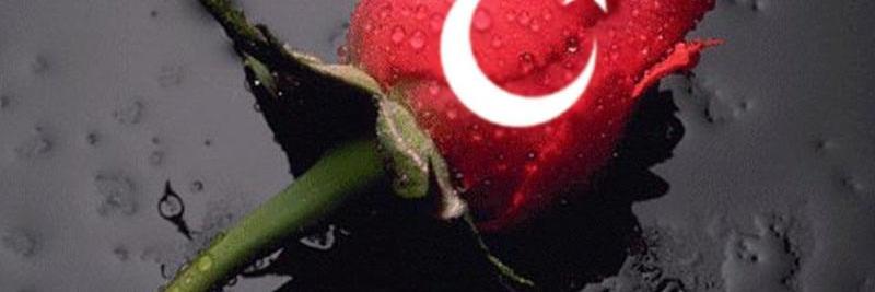 ssultan02's profile banner image