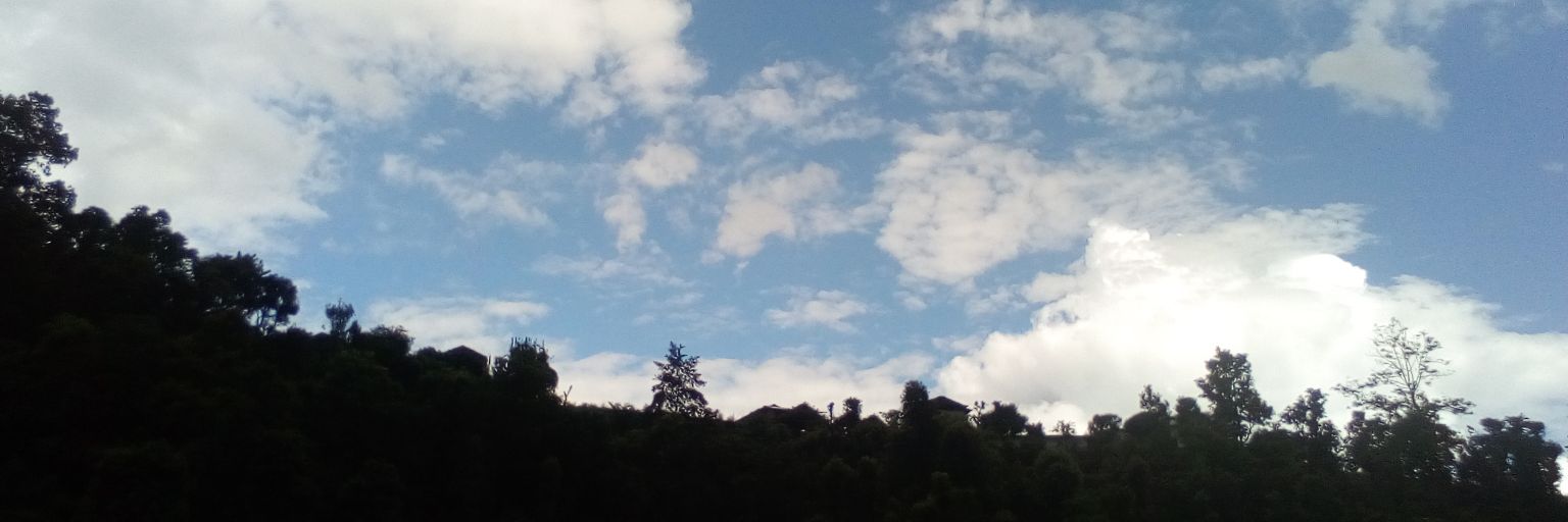 Perrie_40's profile banner image