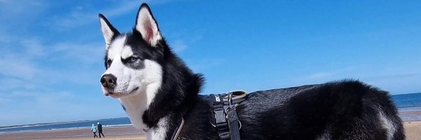 hannahroseee22 Profile Banner