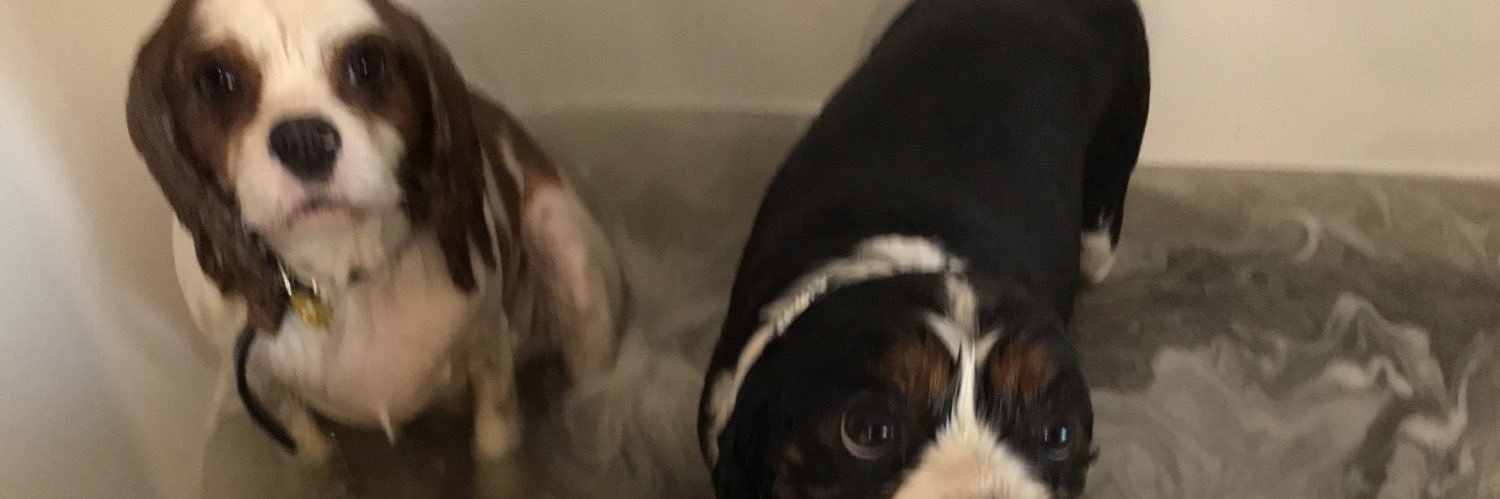 John Hurley 💙💙 banner