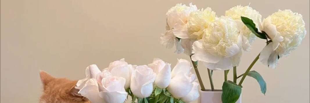 JaneSmith88_'s profile banner image