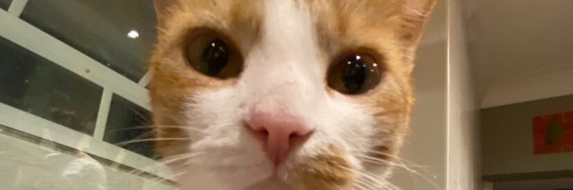 notneave's profile banner image