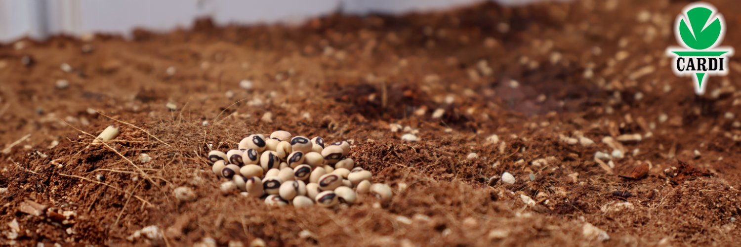 CARDIcaribbean's profile banner image