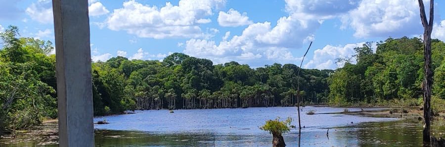 _britinh0's profile banner image