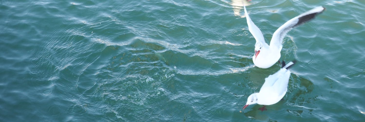 xgpez2's profile banner image