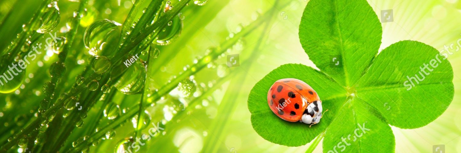 Mary E. Brown 🧑🏾‍🚀💫 banner