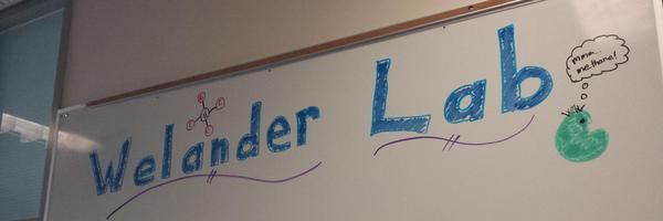 PaulaWelander Profile Banner