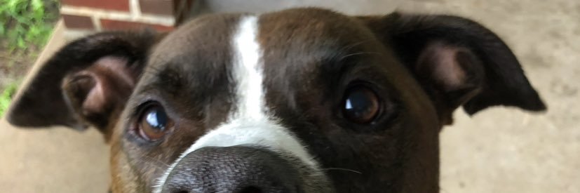 Operador Suave banner