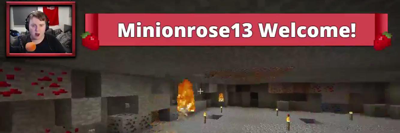 minionrose13's profile banner image