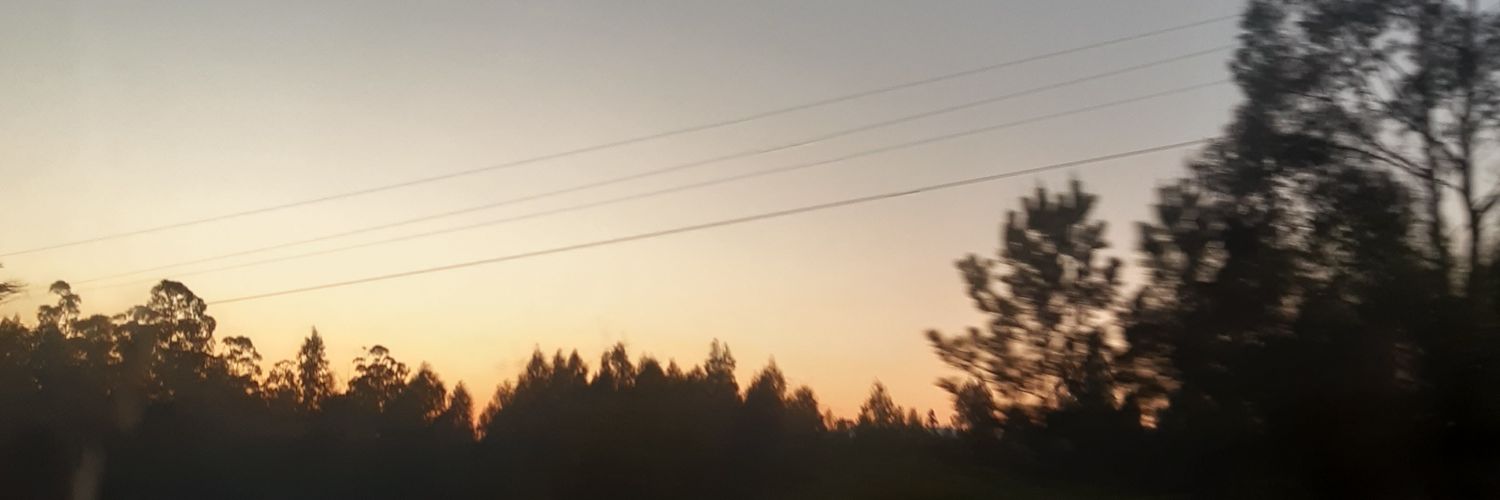 _martasnz_'s profile banner image