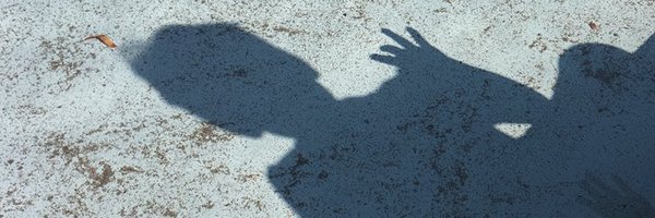 lingolassie Profile Banner