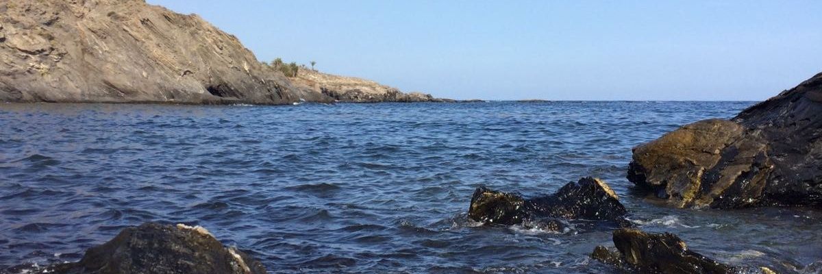 CarolHM01's profile banner image